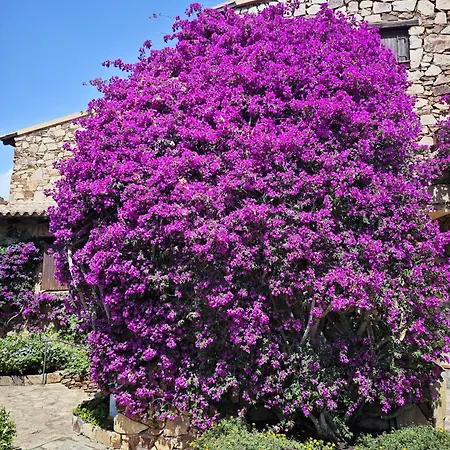 Vista Smeralda * بورتو روتوندو